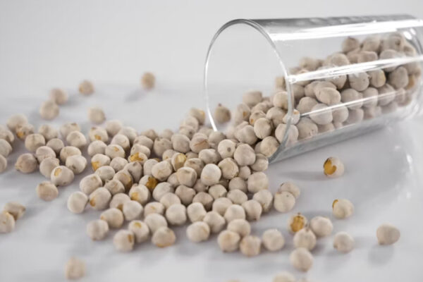 Garbanzos